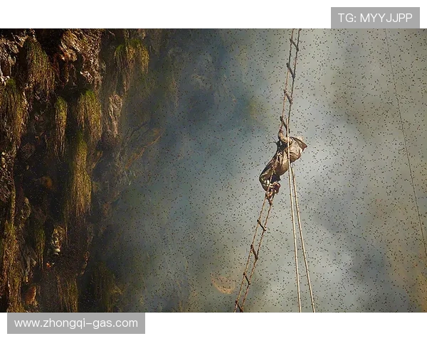 上海攀岩队包夹革新之路探索与实践的深度剖析