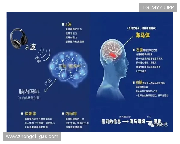 专访陈军：探寻足球成功背后的秘密与智慧