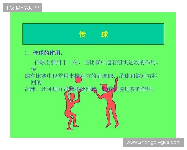武汉排球队进攻战术深度解析与实战应用探讨