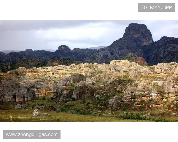 围绕足球明星展开的绿茵传奇成长与荣耀故事深度探索之旅全景篇章